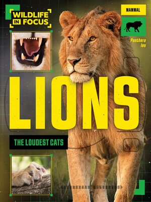 cover image of Lions